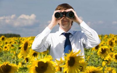 Is Your Business Looking Outward?