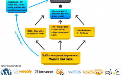 Backlink Strategy